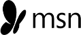 Msn Logo